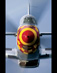 P-51 Mustang (MU404)
