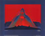 Stealth Fighter (SF141)