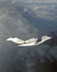 Citation X (210CitX)