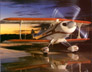 Pitts Super Stinker (Pitts 178)